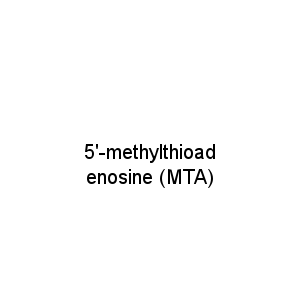 5'-methylthioadenosine (MTA)